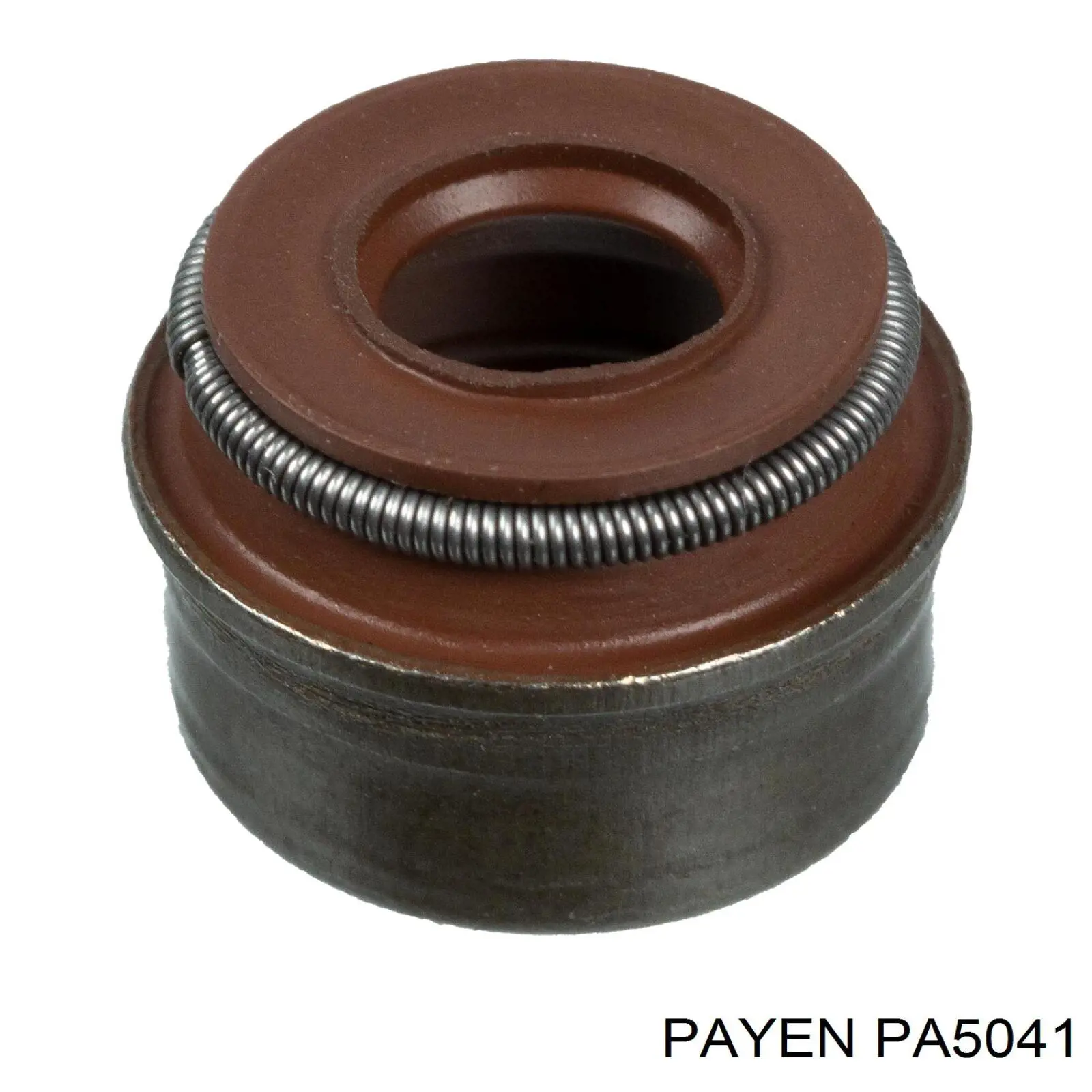 Купити PA5041 Payen Сальник клапана