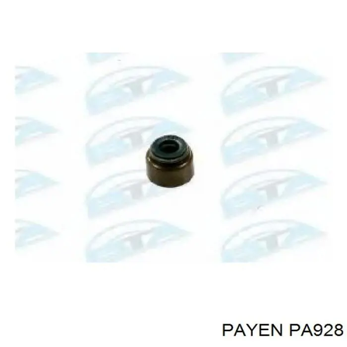 PA928 Payen сальник клапана (маслознімний, впуск/випуск, комплект на мотор)