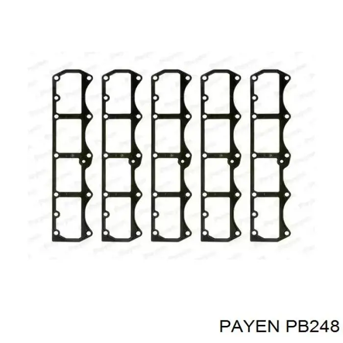 PB248 Payen прокладка клапанної кришки двигуна, кільце
