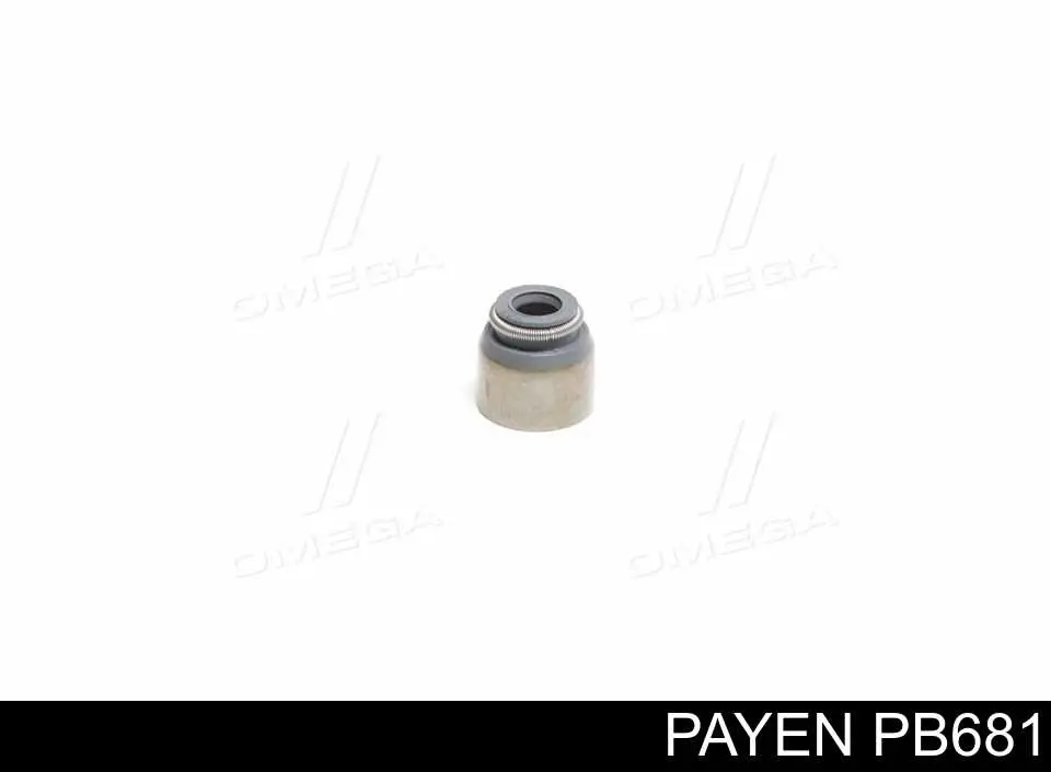 PB681 Payen Сальник клапана (Маслос'емниє), впуск/випуск