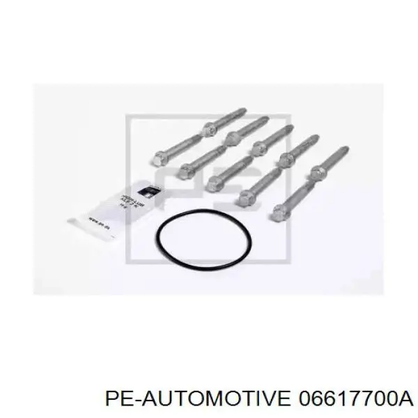 Болт гальмівного супорту 06617700A PE Automotive