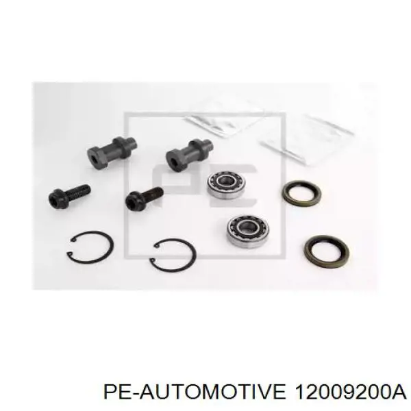  PE Automotive 12009200A ціна, від 79.66 USD