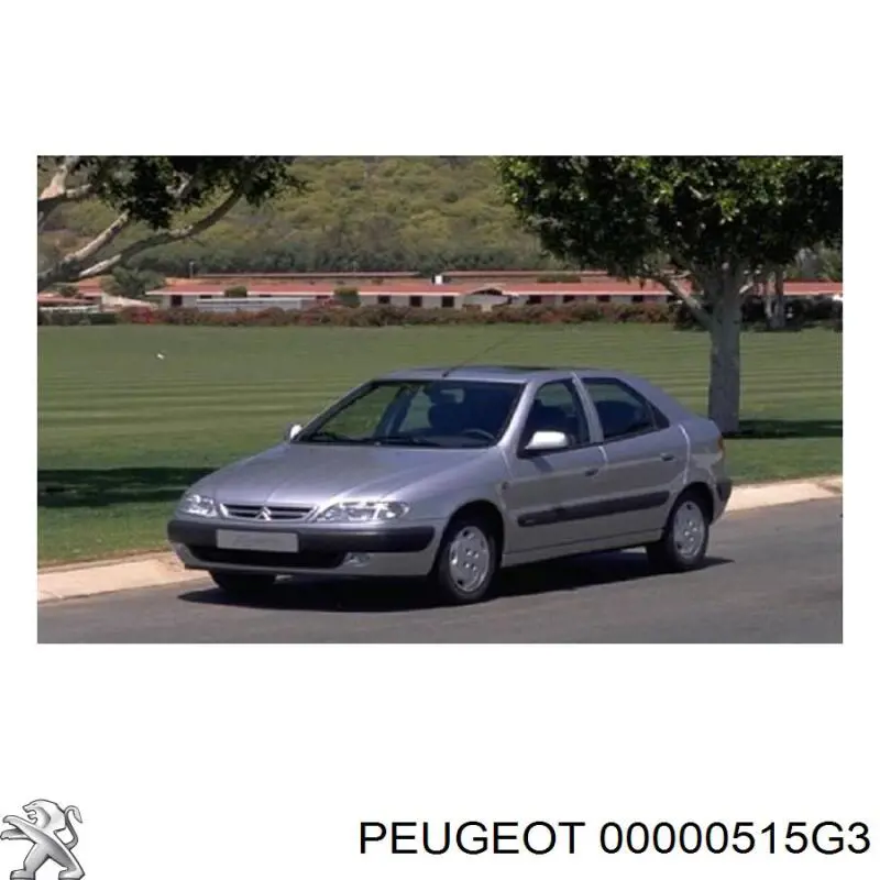 Шків колінвала 00000515G3 Peugeot/Citroen