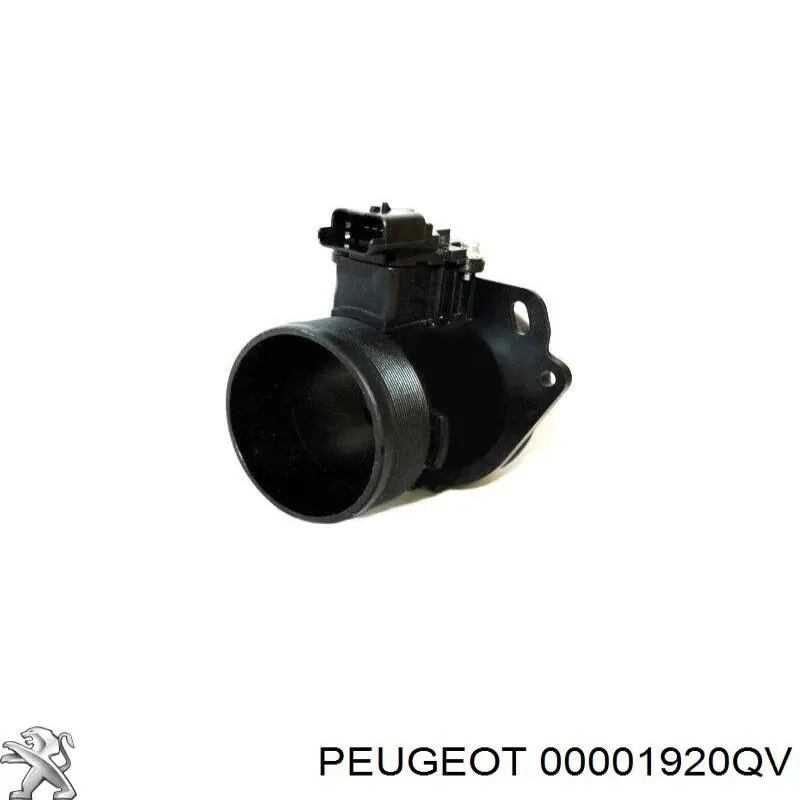 Купити 00001920QV Peugeot/Citroen Повітромір