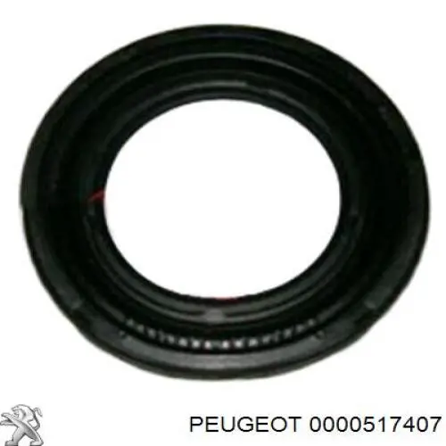 Сайлентблок задньої балки/підрамника Peugeot/Citroen 0000517407 ціна, від 11.54 USD