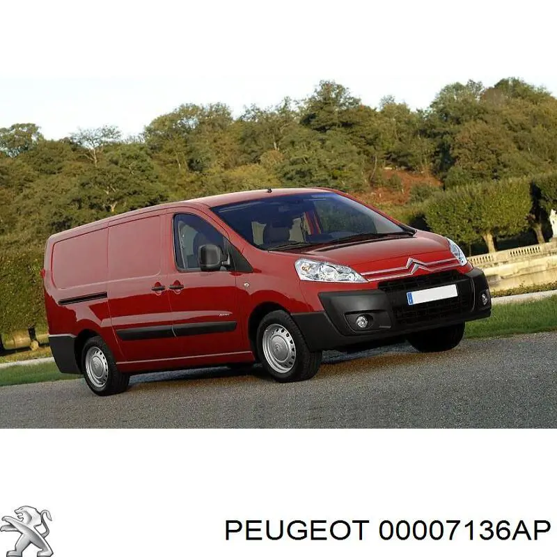 00007136AP Peugeot/Citroen підкрилок переднього крила, правий