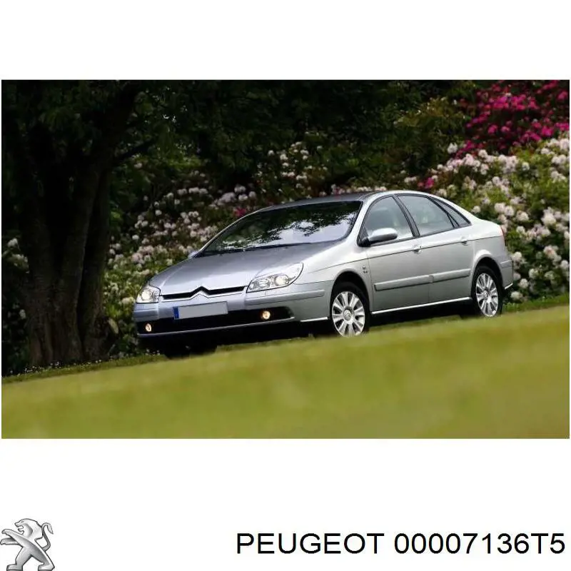 Купити 00007136T5 Peugeot/Citroen Підкрилок переднього крила, правий передній