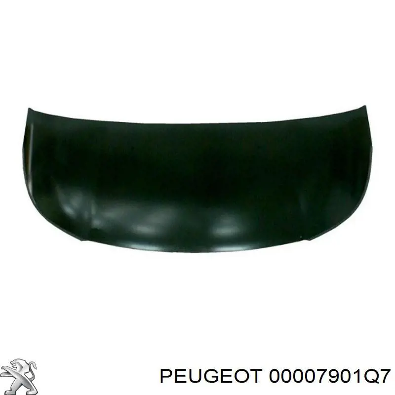 Капот Peugeot/Citroen 00007901Q7 ціна, від 132.29 USD