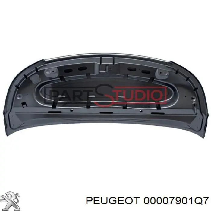 Купити 00007901Q7 Peugeot/Citroen Капот