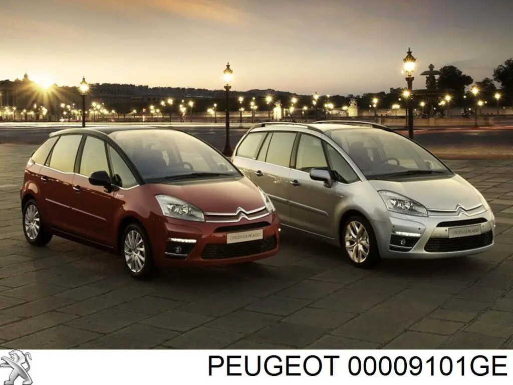 Ручка передньої двері зовнішня ліва 00009101GE Peugeot/Citroen