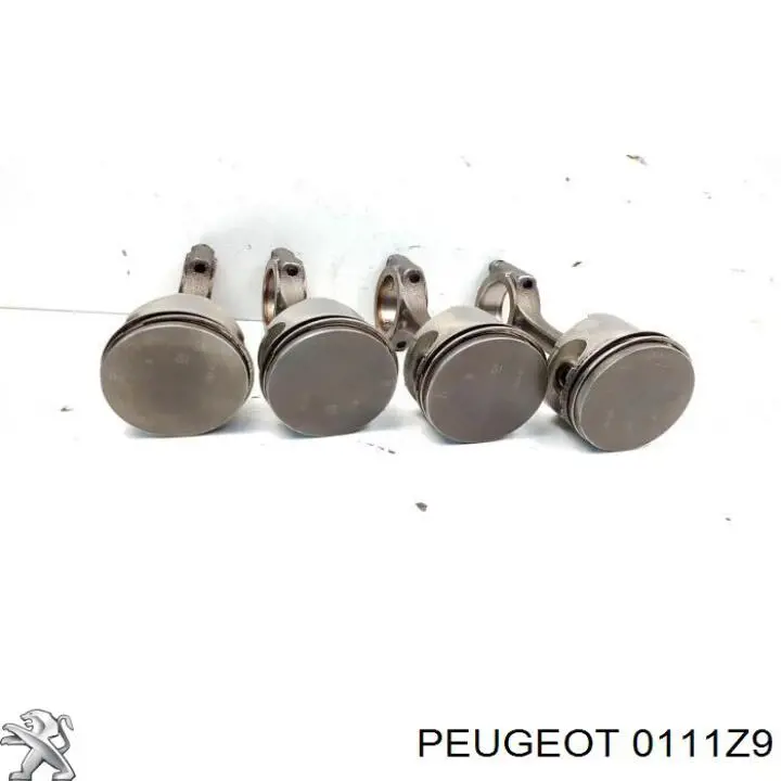 Комплект поршневий (поршень + гільза) Peugeot/Citroen 0111Z9 ціна, від 35.24 USD