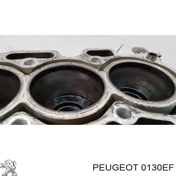 0130EF Peugeot/Citroen Пеньок
