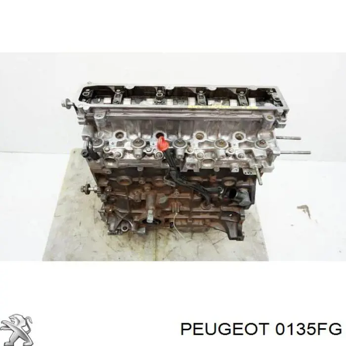 Купити 0135FG Peugeot/Citroen Двигун