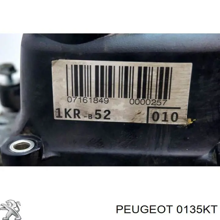 0135KT Peugeot/Citroen Мотор в зборі