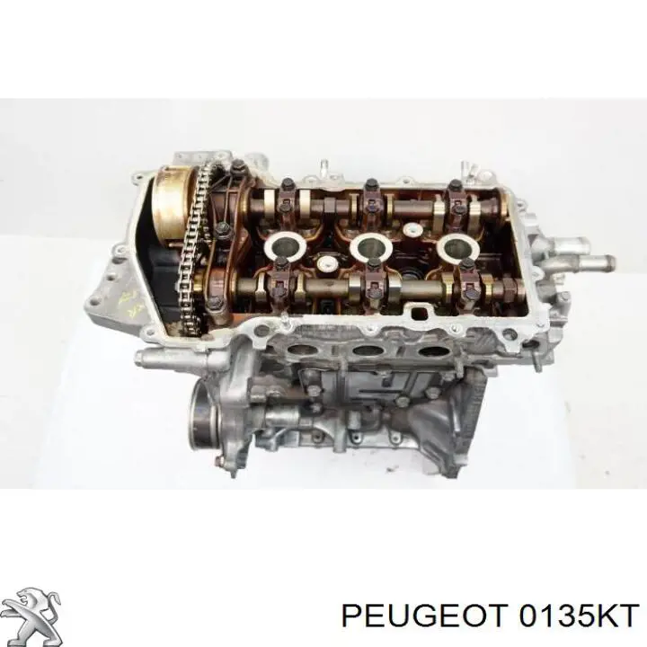 0135KT Peugeot/Citroen двигун у зборі