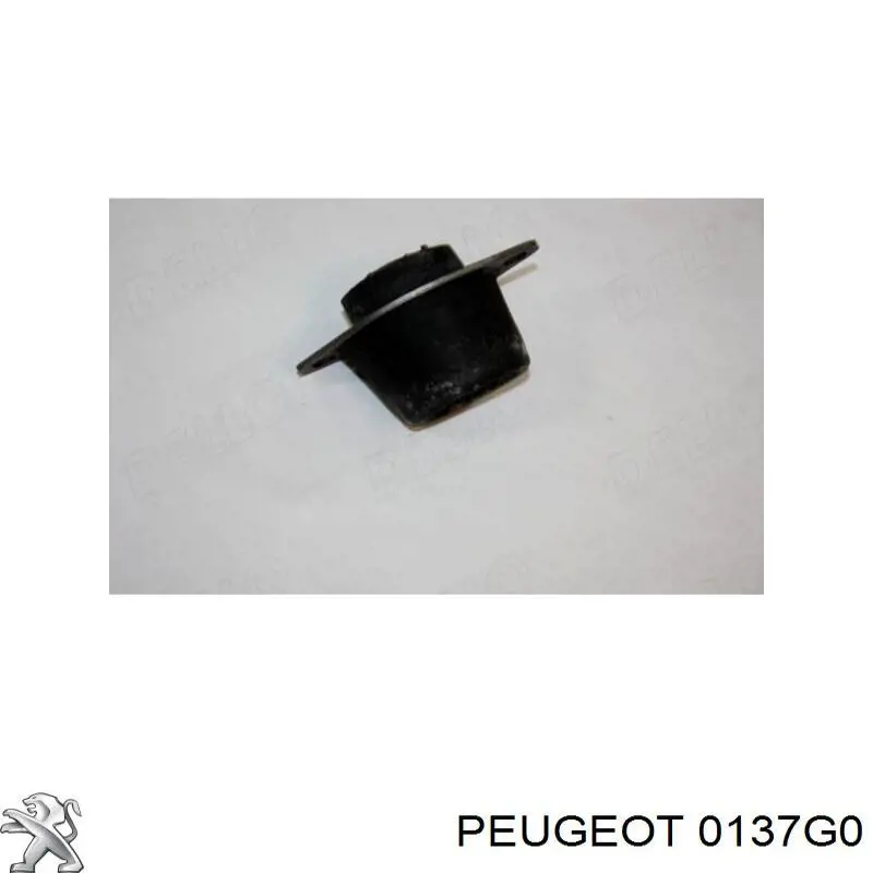 0137G0 Peugeot/Citroen пістон декоративної кришки двигуна