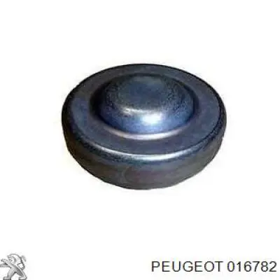  Заглушка блоку циліндрів Peugeot 3008 1
