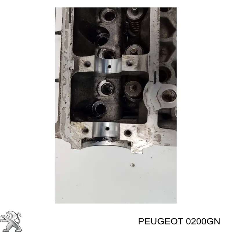 0200W5 Peugeot/Citroen головка блока циліндрів (гбц)