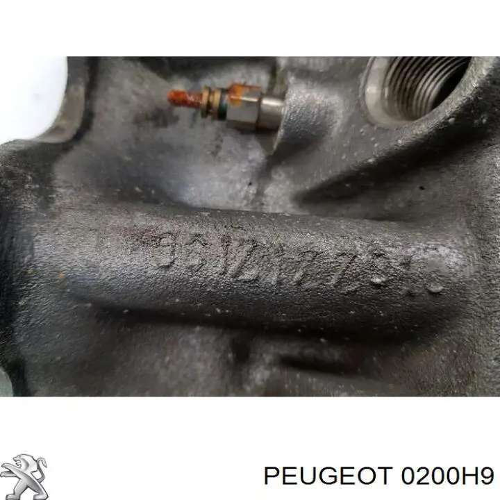 Купити 0200H9 Peugeot/Citroen Головка блоку