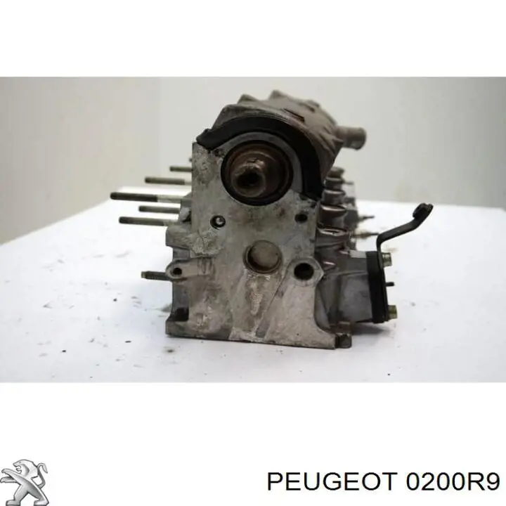 0200R9 Peugeot/Citroen головка блока циліндрів (гбц)