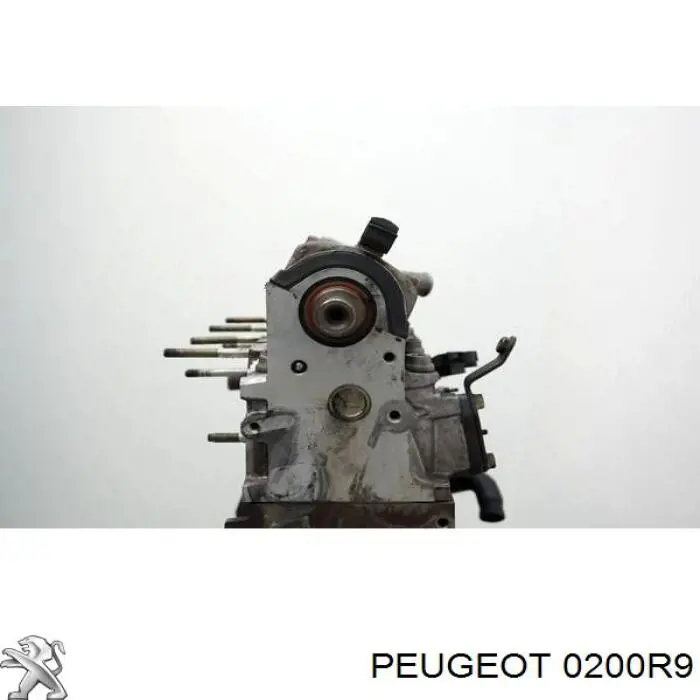 Купити 0200R9 Peugeot/Citroen Головка блоку