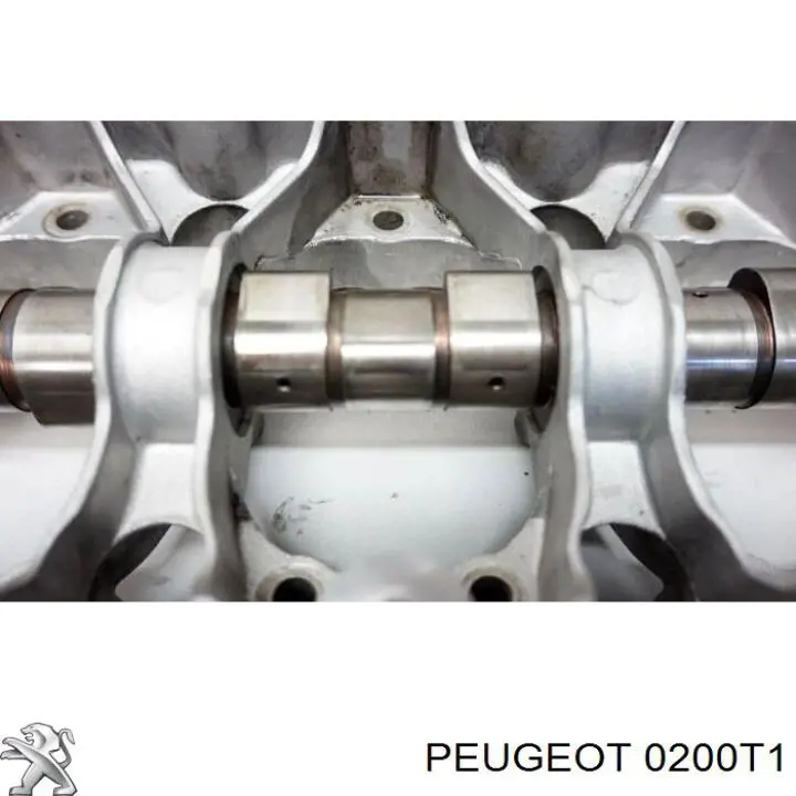 0200A8 Peugeot/Citroen Головка циліндрів
