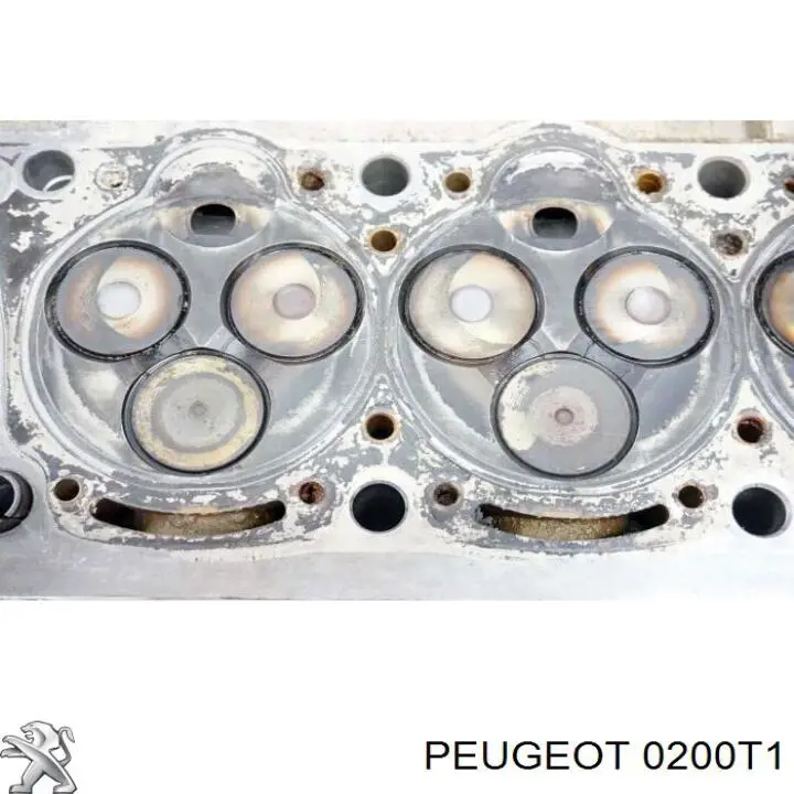 0200A8 Peugeot/Citroen головка блока циліндрів (гбц)