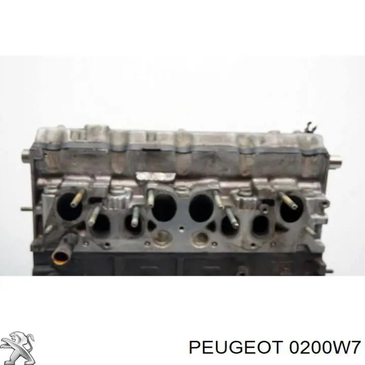 Головка блока циліндрів (ГБЦ) 00000200W7 Peugeot/Citroen