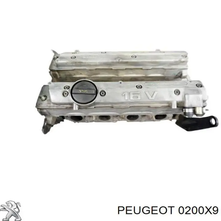 0200X9 Peugeot/Citroen головка блока циліндрів (гбц)