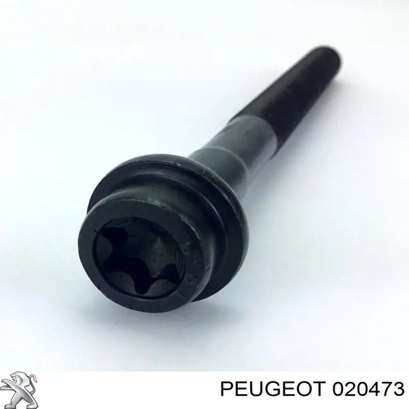 Купити 20473 Peugeot/Citroen Болт гбц