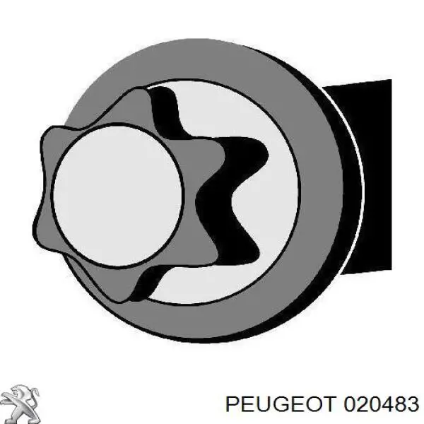 020483 Peugeot/Citroen болт головки блока циліндрів, гбц