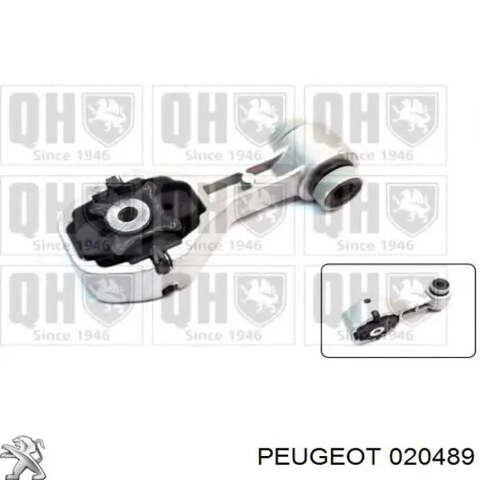 Болт головки блока циліндрів, ГБЦ Peugeot/Citroen 020489 ціна, від 22.98 USD