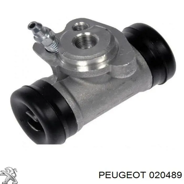 Купити 020489 Peugeot/Citroen Болт гбц