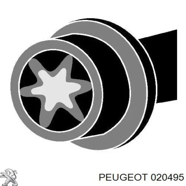 Болт головки блока циліндрів, ГБЦ Peugeot/Citroen 020495 ціна, від 6.64 USD
