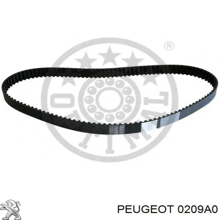 Прокладка ГБЦ Peugeot/Citroen 0209A0 ціна, від 28.79 USD