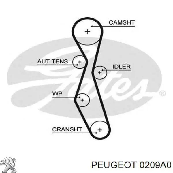 Прокладка ГБЦ 0209A0 Peugeot/Citroen