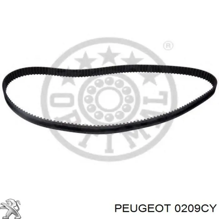 0209CY Peugeot/Citroen прокладка головки блока циліндрів (гбц)