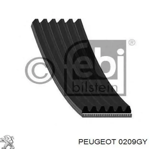 0209GY Peugeot/Citroen прокладка головки блока циліндрів (гбц)