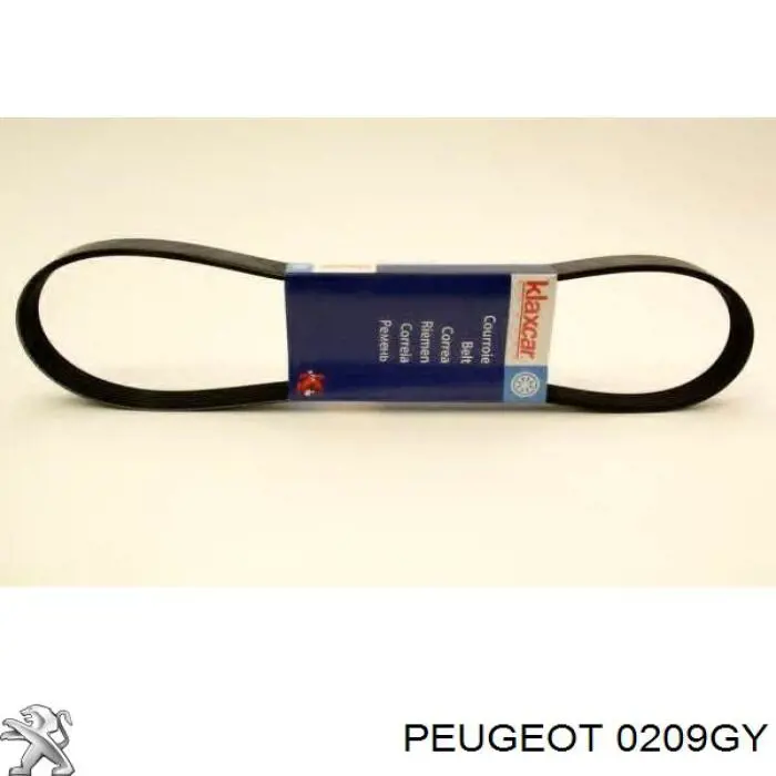 Прокладка ГБЦ Peugeot/Citroen 0209GY ціна, від 22.81 USD