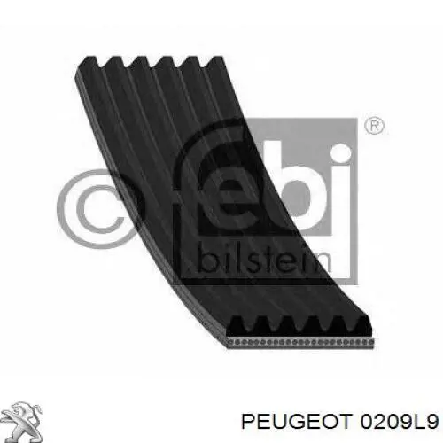 0209L9 Peugeot/Citroen прокладка головки блока циліндрів (гбц)