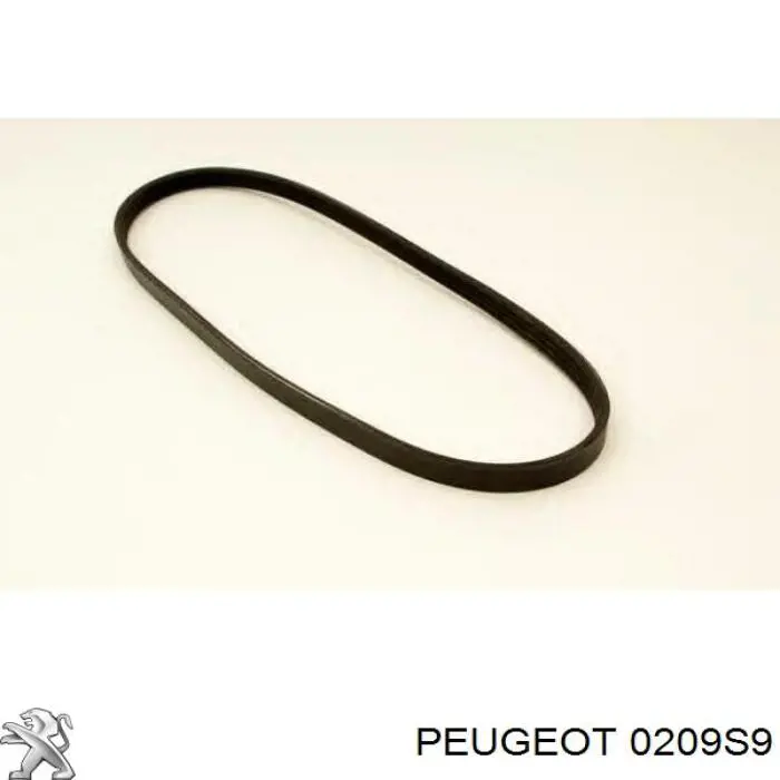 0209S9 Peugeot/Citroen прокладка головки блока циліндрів (гбц)