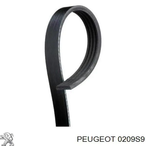 Прокладка ГБЦ Peugeot/Citroen 0209S9 ціна, від 18.44 USD
