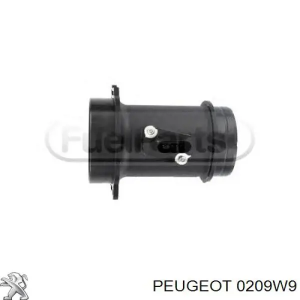 Прокладка ГБЦ Peugeot/Citroen 0209W9 ціна, від 27.62 USD