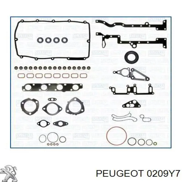 0209Y7 Peugeot/Citroen прокладка головки блока циліндрів (гбц)