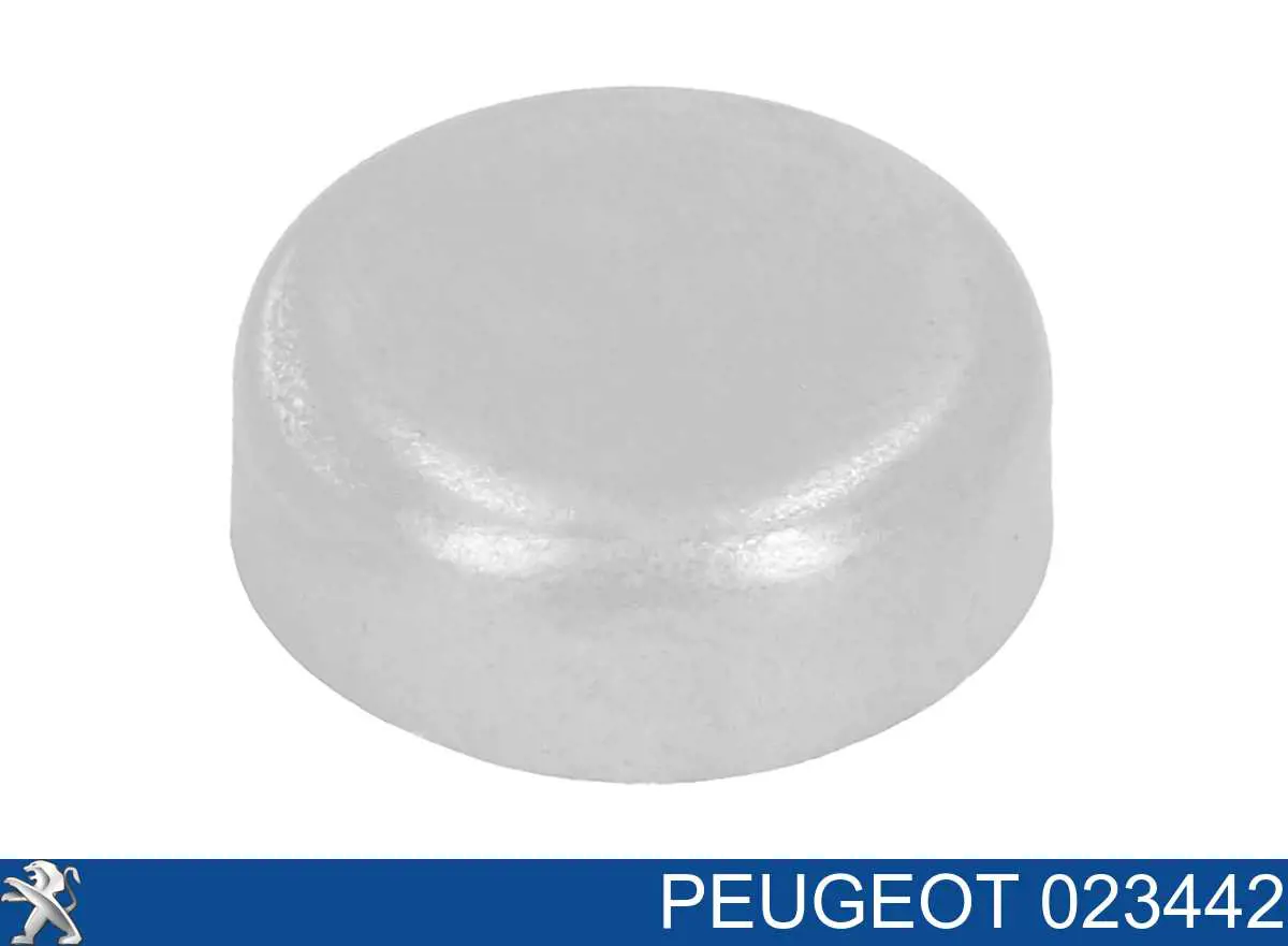 Купити 023442 Peugeot/Citroen Заглушка блоку циліндрів