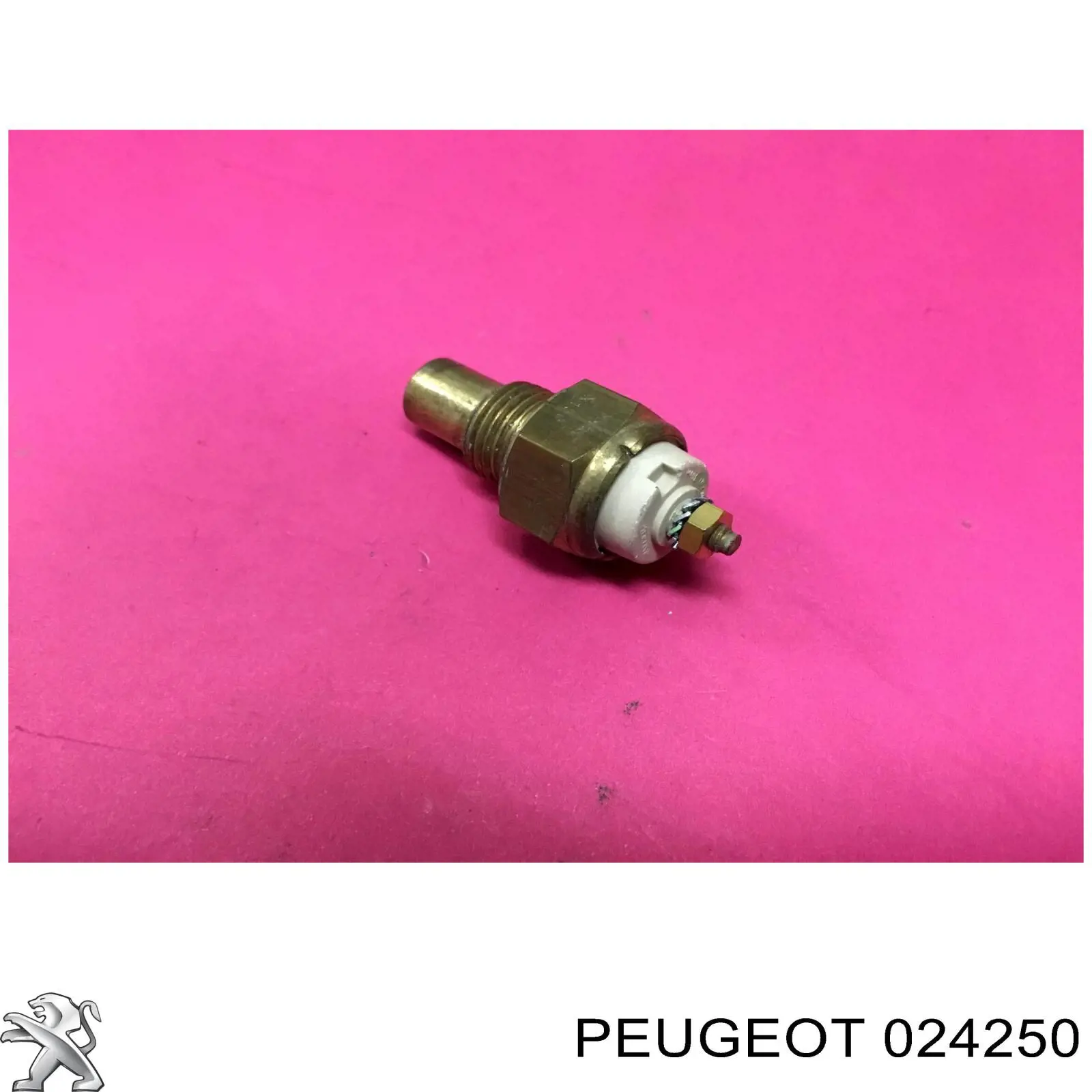 24250 Peugeot/Citroen Покажчик температури охолоджуючої рідини