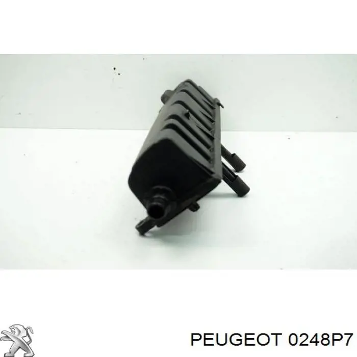 0248P7 Peugeot/Citroen кришка клапанна