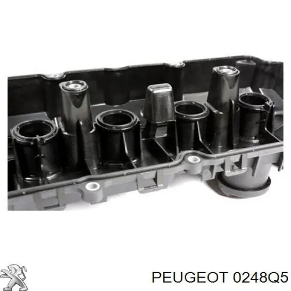 0248Q5 Peugeot/Citroen кришка клапанна
