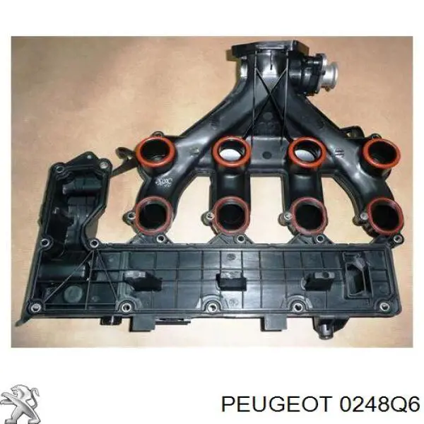 0248Q6 Peugeot/Citroen кришка клапанна