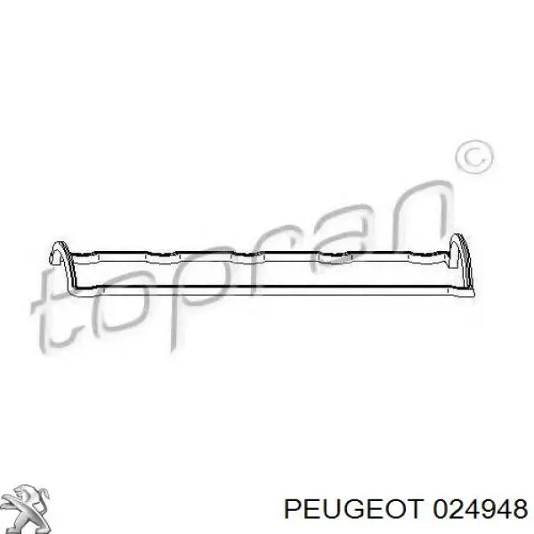 024948 Peugeot/Citroen прокладка клапанної кришки двигуна